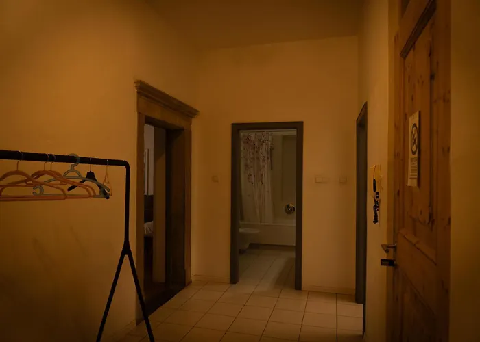 Hotel adatto agli animali: Residence Fink Central Apartments