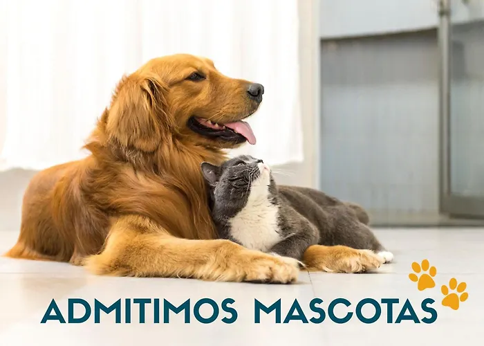 Apartamentos Doña Carmen 3000