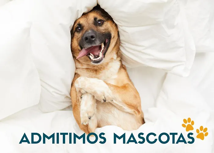 Apartamento: Apartaments Turistics Natural Suites Manzano 3000