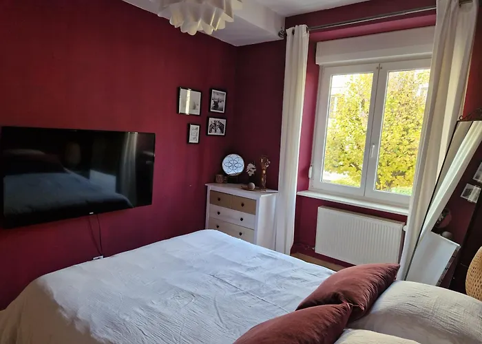Cosy Appartement Complet centre-ville Montbéliard