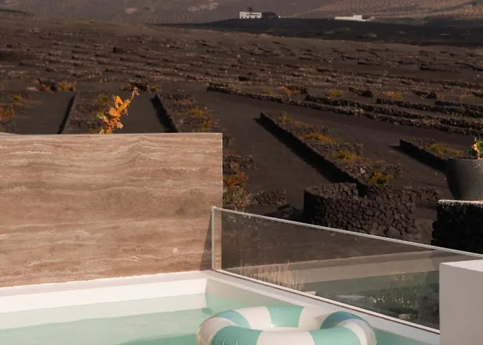 Canaryislandshost I Vinedos