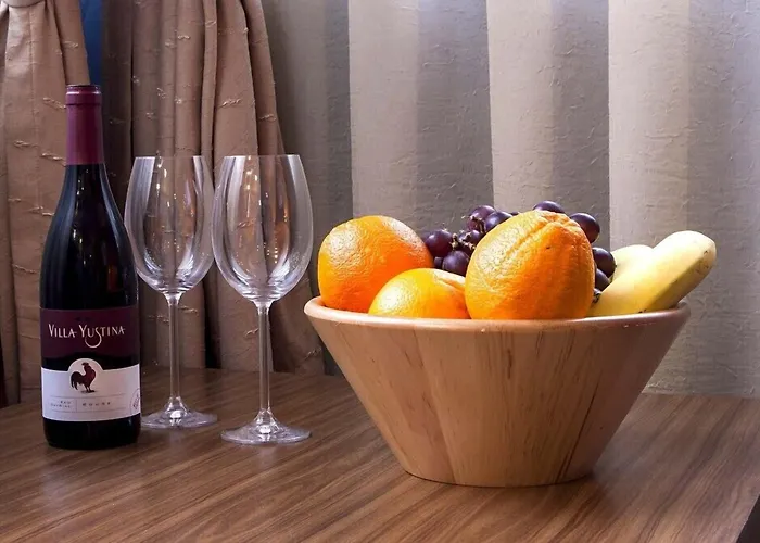 Hôtel de l'aéroport: Diter Family Hotel