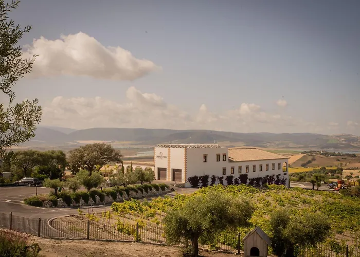  Bodegas Campestral