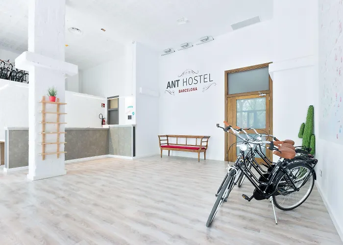 Albergue: Ant Hostel Barcelona