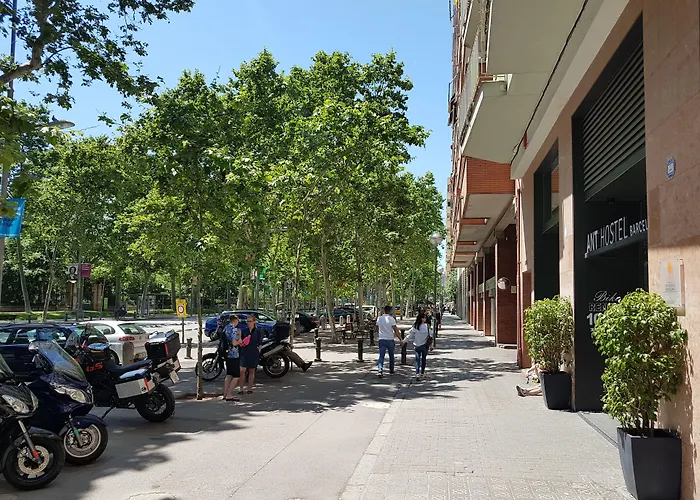 Albergue: Ant Hostel Barcelona