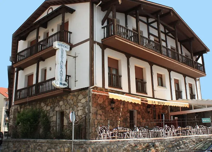 Perros hoteles La Maya