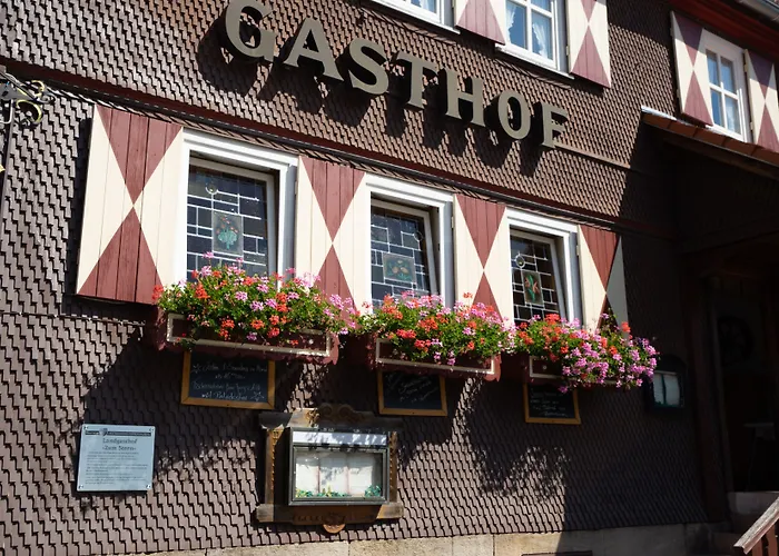 Familienhotel: Landgasthof Zum Stern Wasserkuppe Rhön