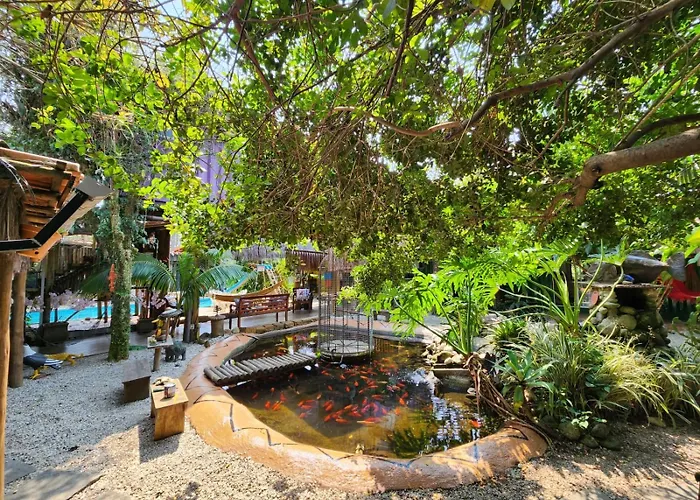 Hotel com parque aquático: Pousada Papaya Container