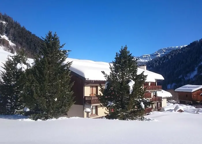 Grand appartement familial au pied des pistes pour 8 personnes - FR-1-342-150