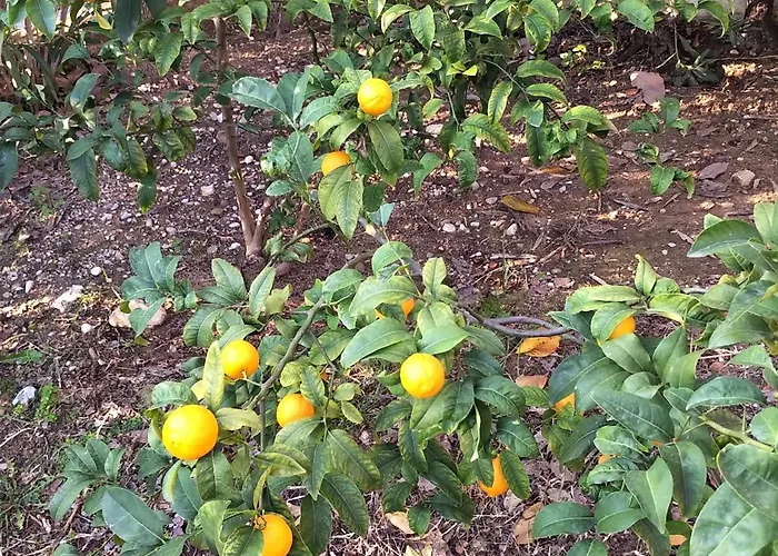 Rez de villa avec beau jardin et belle vue