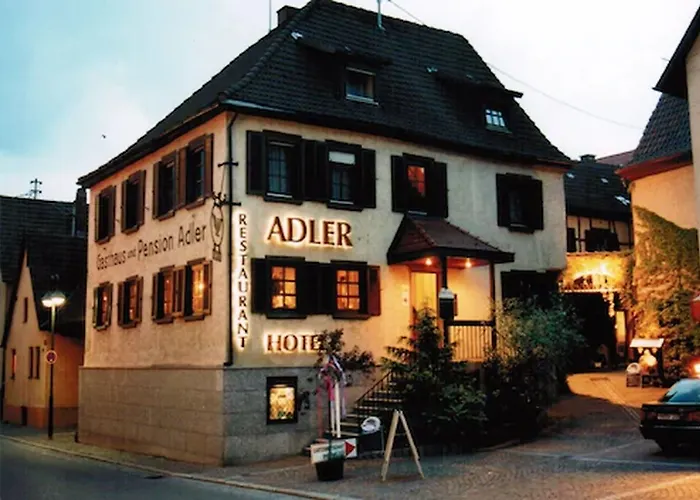 Hotel: Adler Gaststube Hotel Biergarten