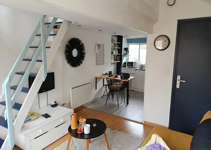 Studio Cosy