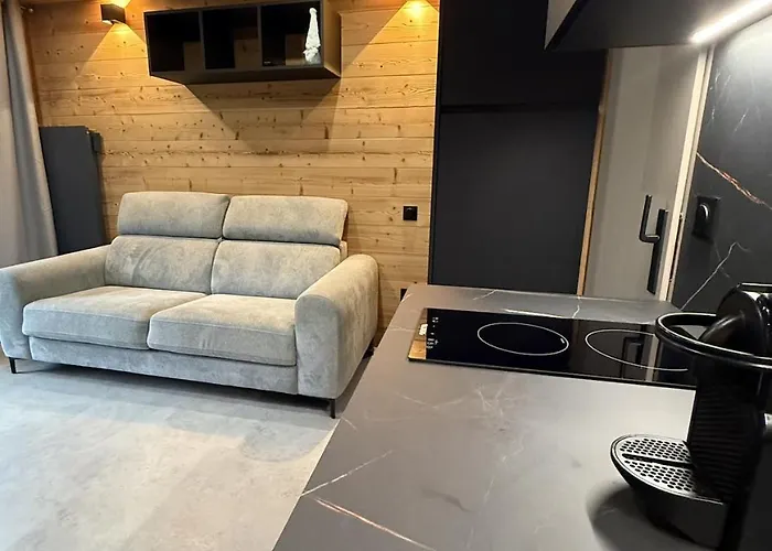 Appartement au pied des pistes