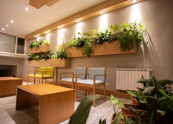 Hotel céntrico: Hotel Ecoski By Bund