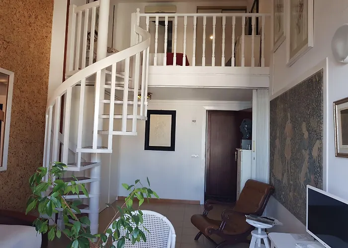 Hôtel accueillant les animaux: Hotel La Residencia