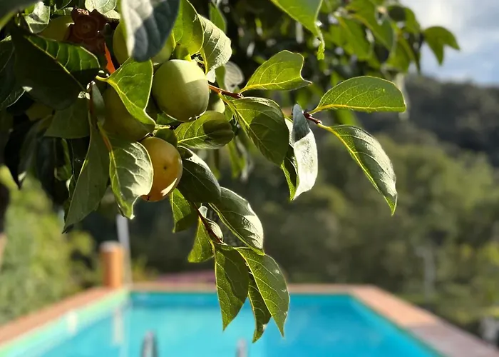 Orilla Del Hueznar