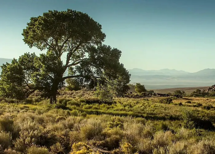 Stunning Lone Pine Accommodation For Romantic Getaways In California