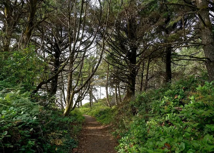 Wonderful A Frame Nestled Amidst Trees In Otter Rock, Oregon