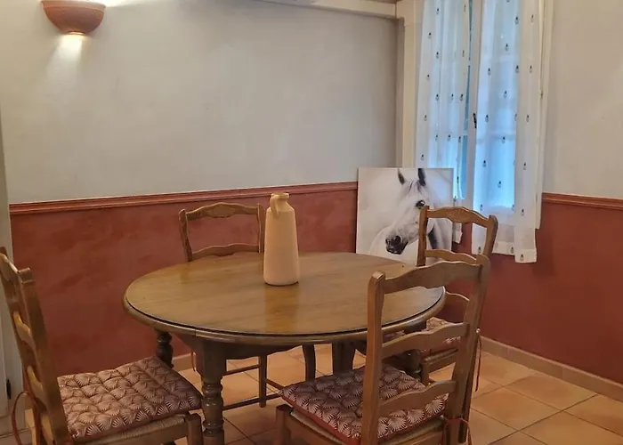 Maisonnette tout confort dans mas camarguais