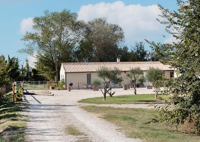 Gîtes le Petit Bordes - Li Biou