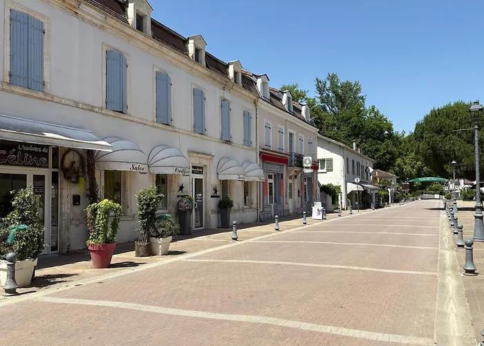 Hirondelles 3