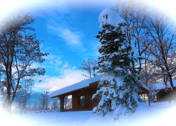 Hotel adatto agli animali: Lazy Bee Camping Village