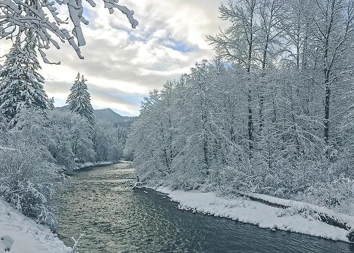 Salmon River Condo #5