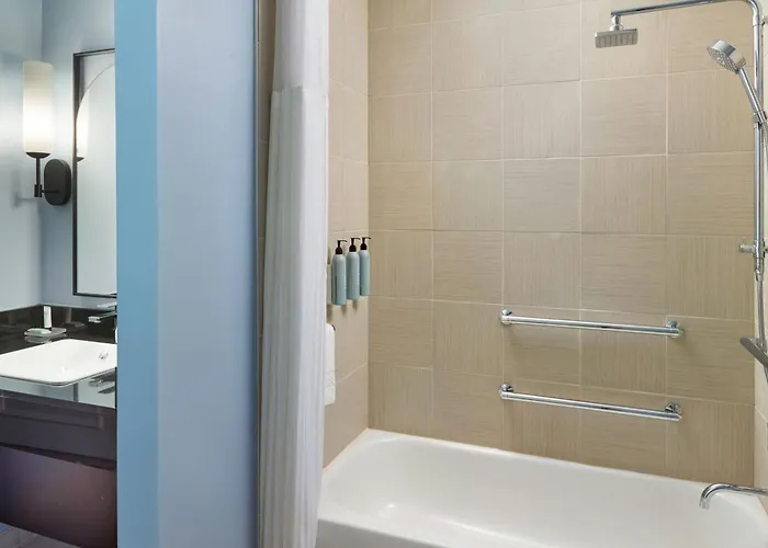 Dog friendly hotels Courtyard By Marriott New Orleans French Quarter/Iberville