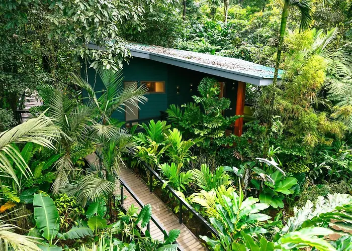 Chachagua Rainforest & Hot Springs