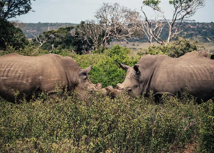 Sibuya Game Reserve And Lodge