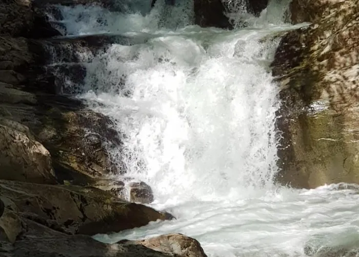 Apartamentos Pistolo