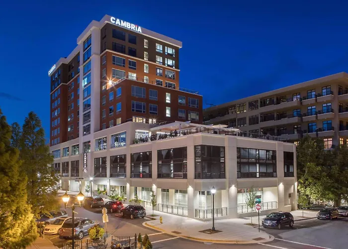 Pets Allowed Hotel Cambria Downtown Asheville