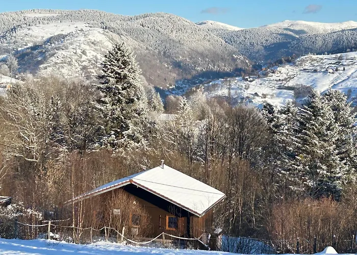 Hôtel accueillant les animaux: Chalet Les Bouleaux, la montagne des lamas