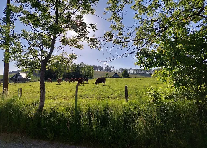 Ferienwohnungen Schneider