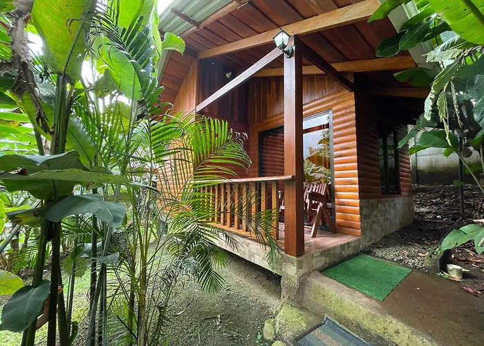 Trip to College Arenal Rustic