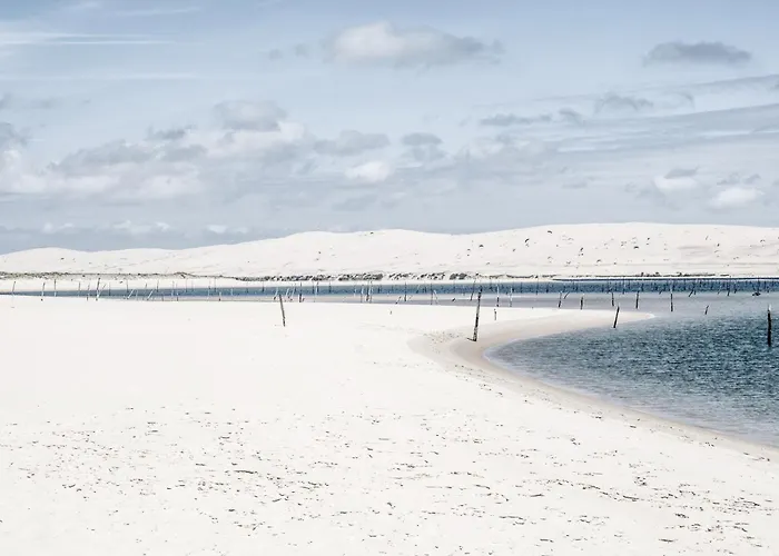 Beach House