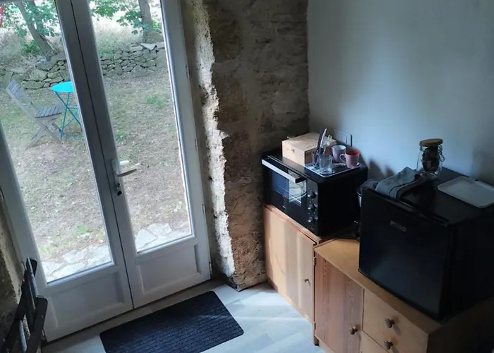 Sous un chêne bicentenaire
