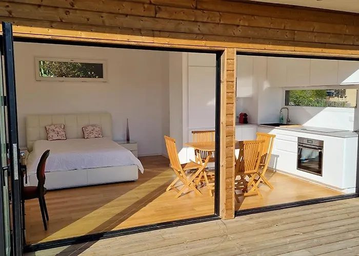 Chalet Contemporain Les Lauriers Sur L'Île Du Levant