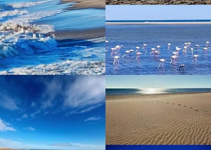 De la Clape à la mer mon petit pavillon labellisé - f2- piscine commune - wifi gratuit- parking privé - arrivee autonome - 800 m plage - grande terrasse abritée vent -