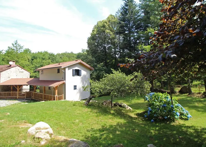 Trois anes et un moulin