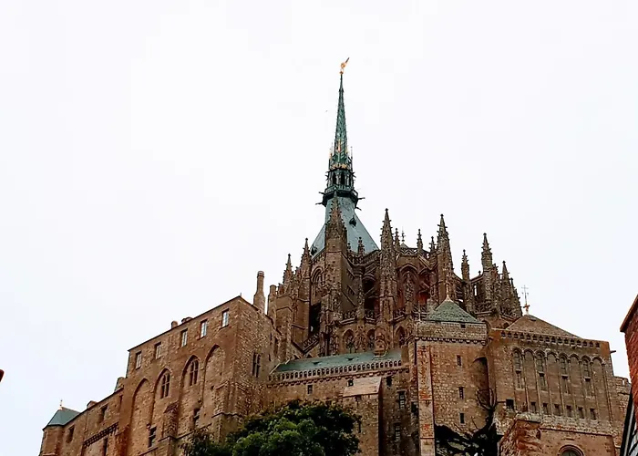 Les Clématites