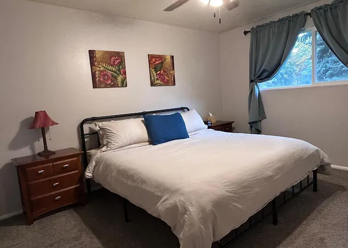 Sunny Days! Room For All And Pet Friendly