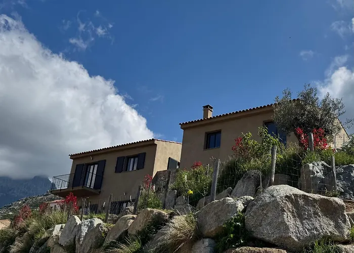  Bella Vita