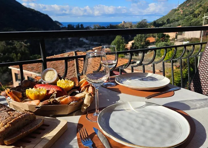 T2 vue mer&montagne Golfe de Porto-Ota