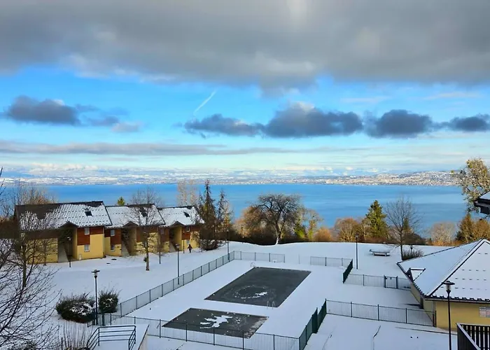 Vue Lac Léman&Piscine - Parking free - Confort Appart 6 pers