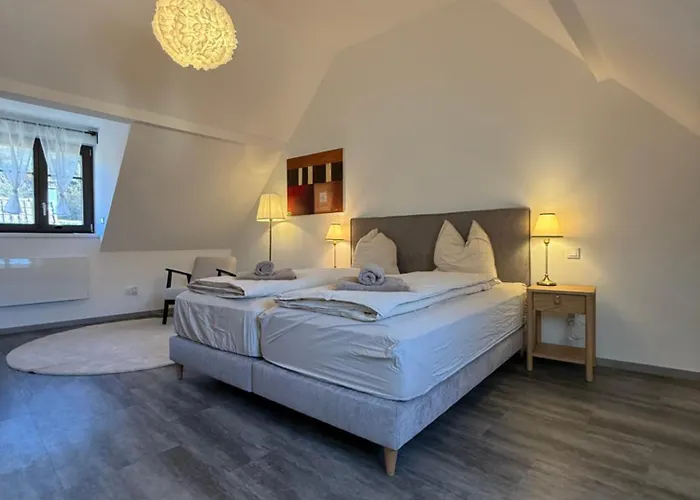Thann centre, 2 BR, terrasse exposée sud, vue sur la Collégiale