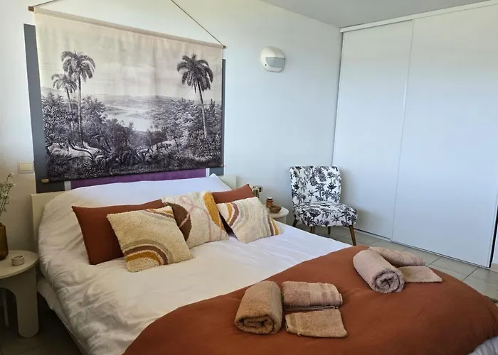 Appartement 2 pièces superbe vue mer clim et wifi piscine chauffée