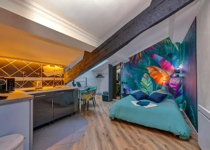 Suite Le Roitelet - Fitness, Design&Parking Privé