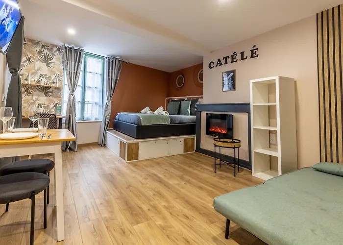 LE CATELE - Studio RIOM - 3 pers - Vulcania - Puy de Dôme - Proche Clermont Ferrand