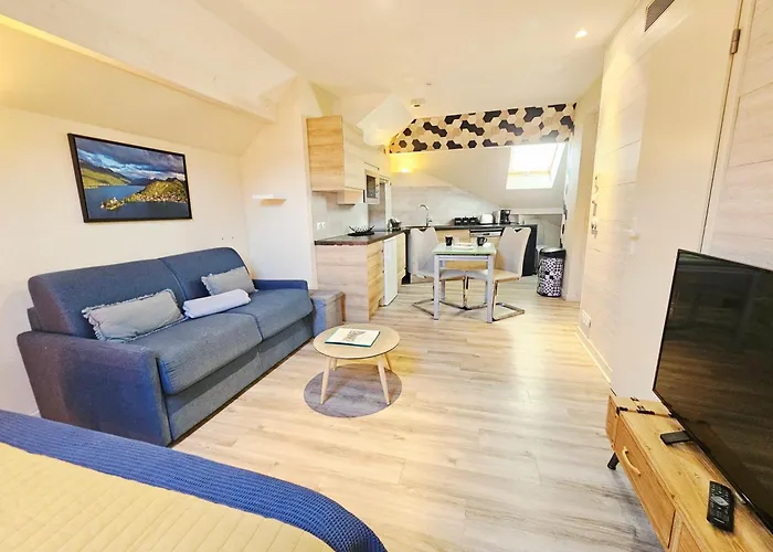 Studio sous les toits - Plage&Parking privés